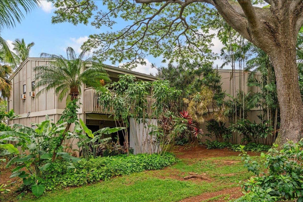 4440 Lower Honoapiilani Rd Unit: 237