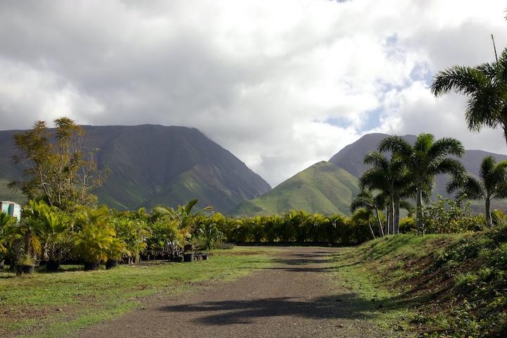 150 Kai Hele Ku Rd Unit: Unit B