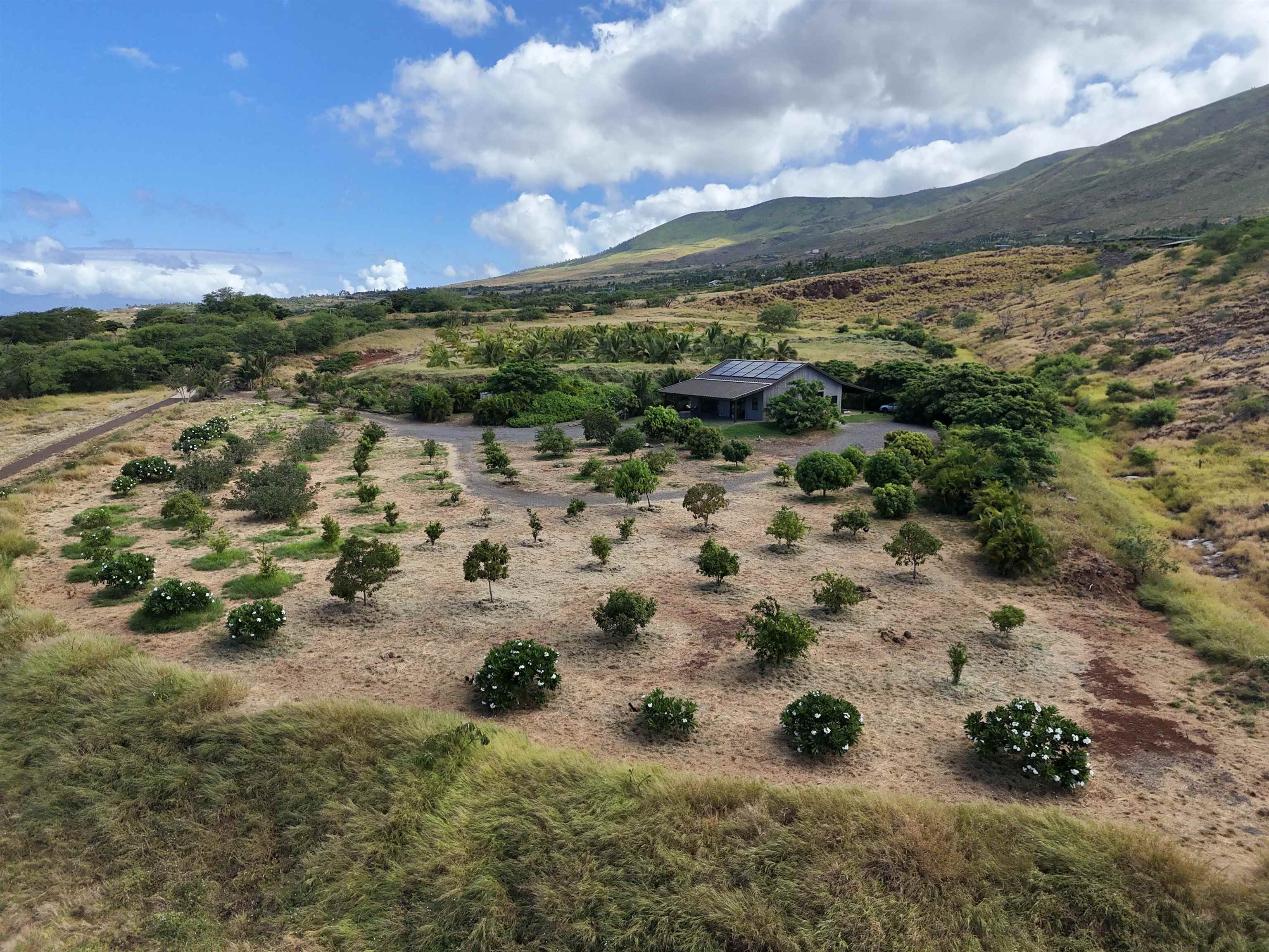 Haniu Pl Unit: Lot 10A