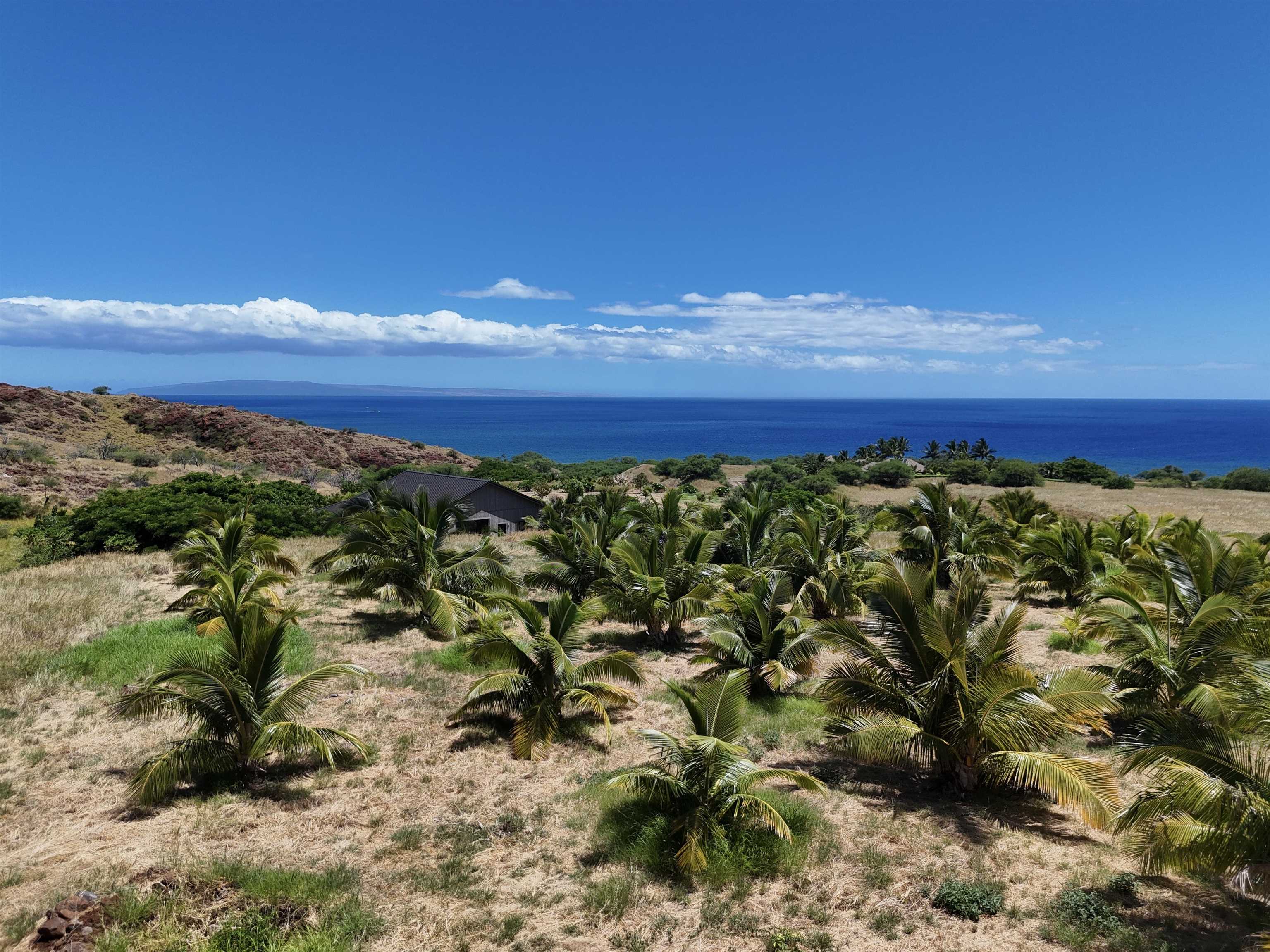 Haniu Pl Unit: Lot 10A