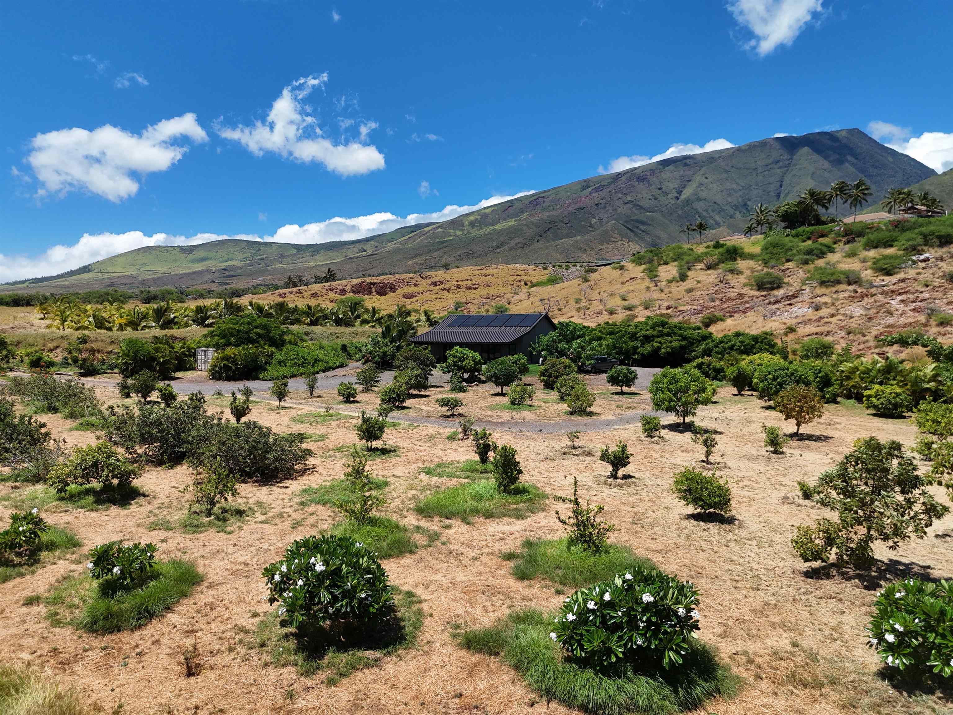 Haniu Pl Unit: Lot 10A