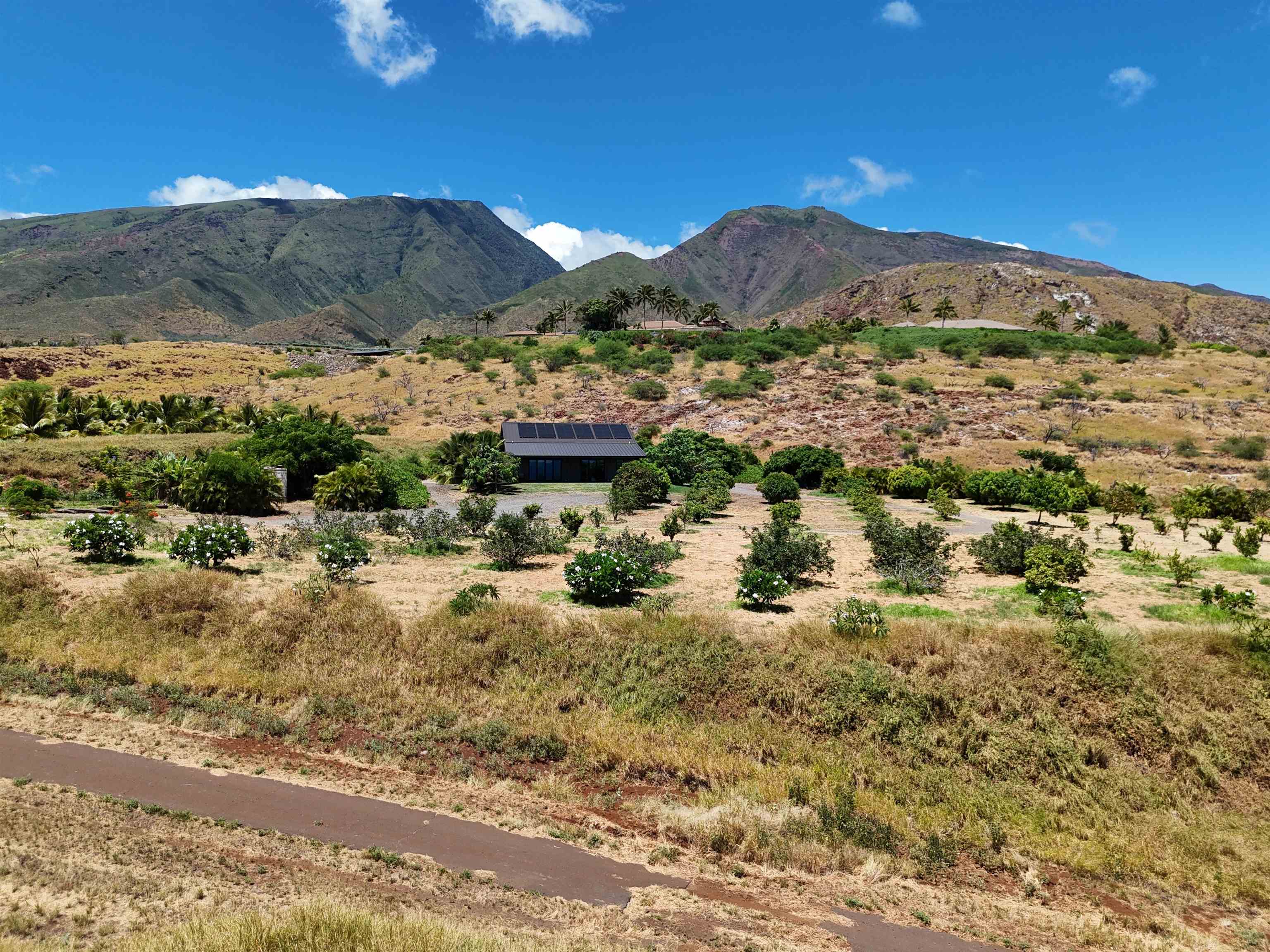 Haniu Pl Unit: Lot 10A