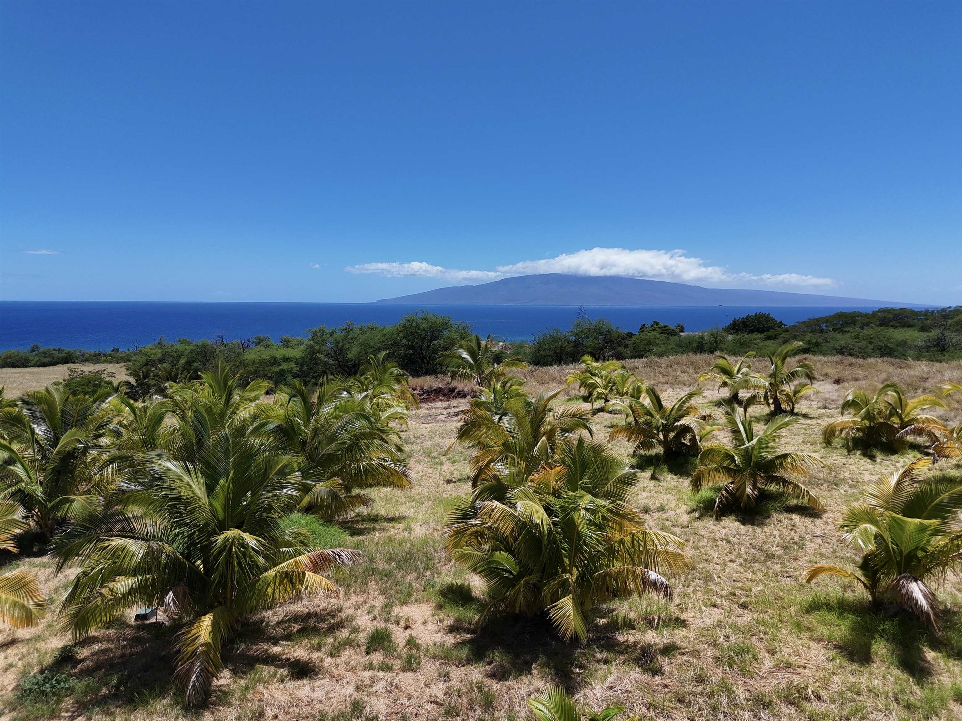 Haniu Pl Unit: Lot 10A