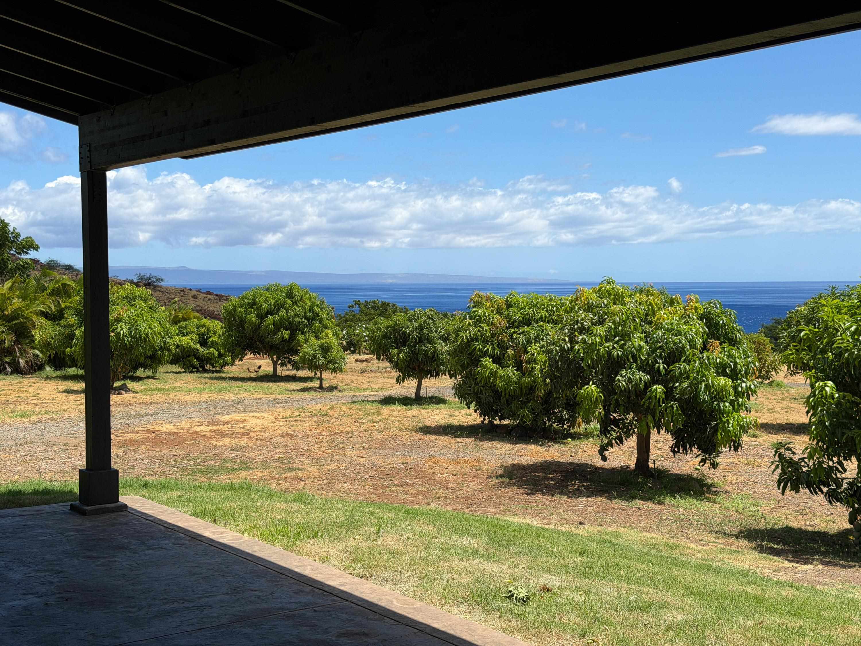 Haniu Pl Unit: Lot 10A