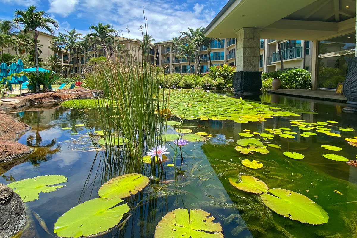 4-820 KUHIO HWY B302