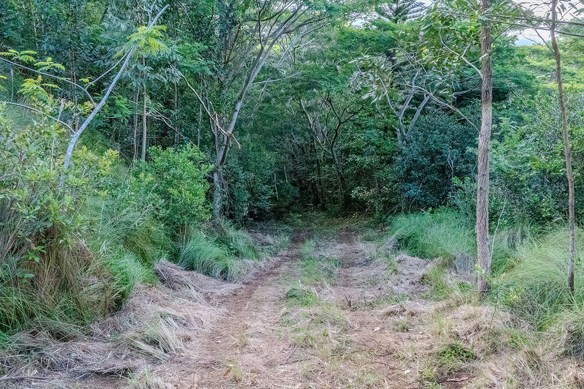 3310 WAWAE RD
