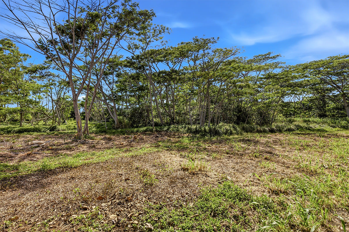 3310 WAWAE RD