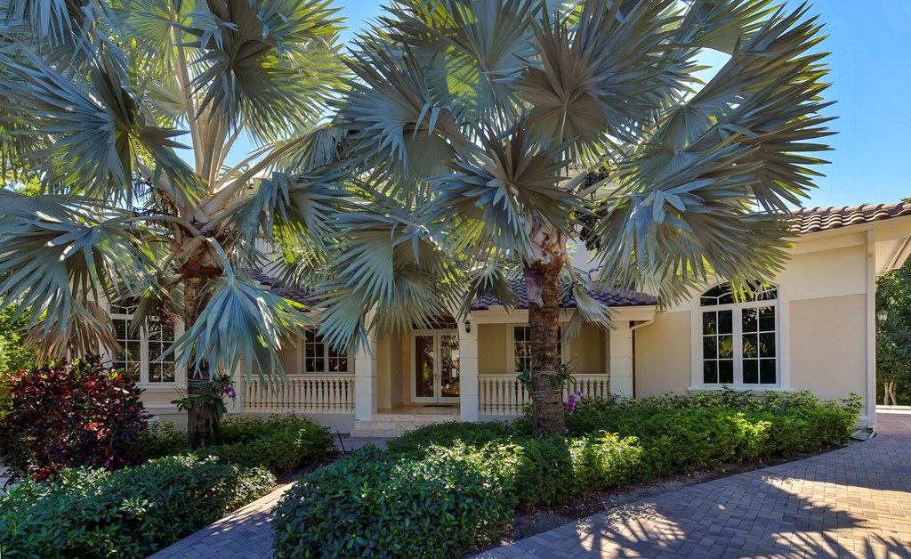 50 Cinnamon Bark Lane