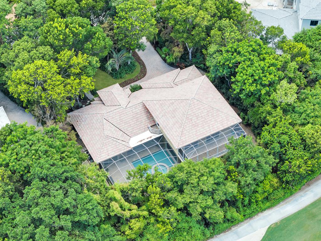 39 Thatch Palm Way