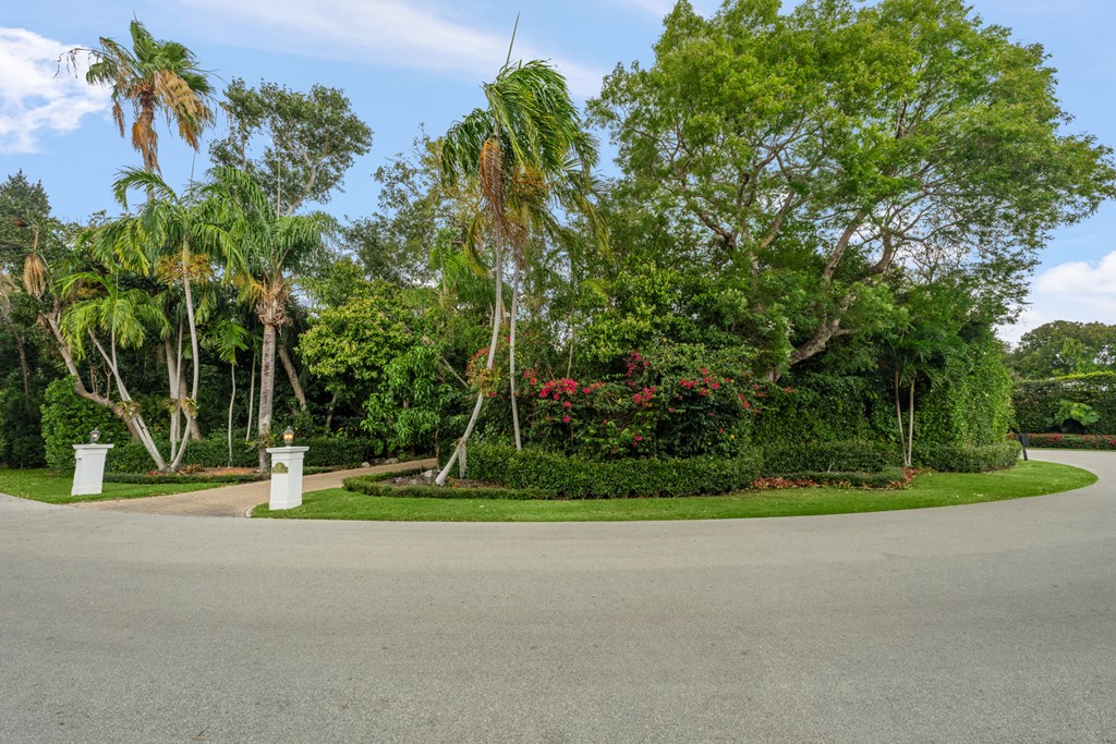 15 Thatch Palm Way