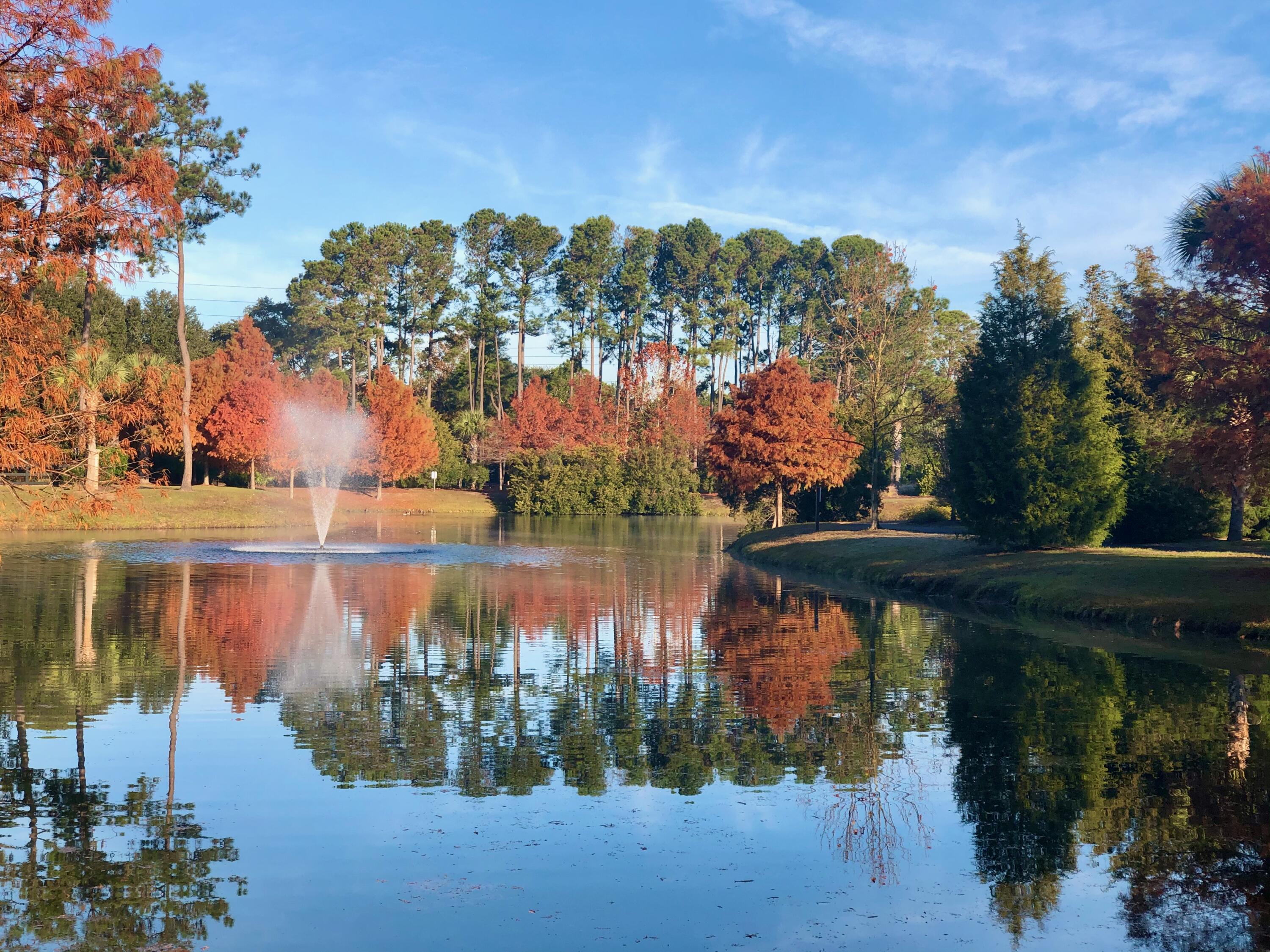 1353 Scotts Creek Circle