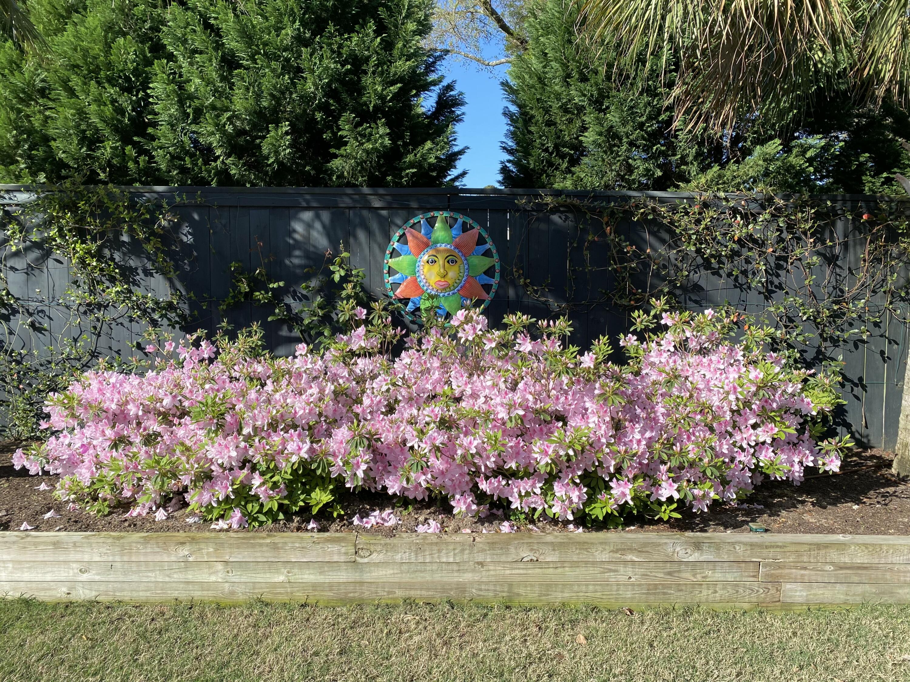 1353 Scotts Creek Circle