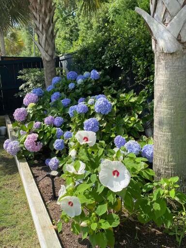 1353 Scotts Creek Circle