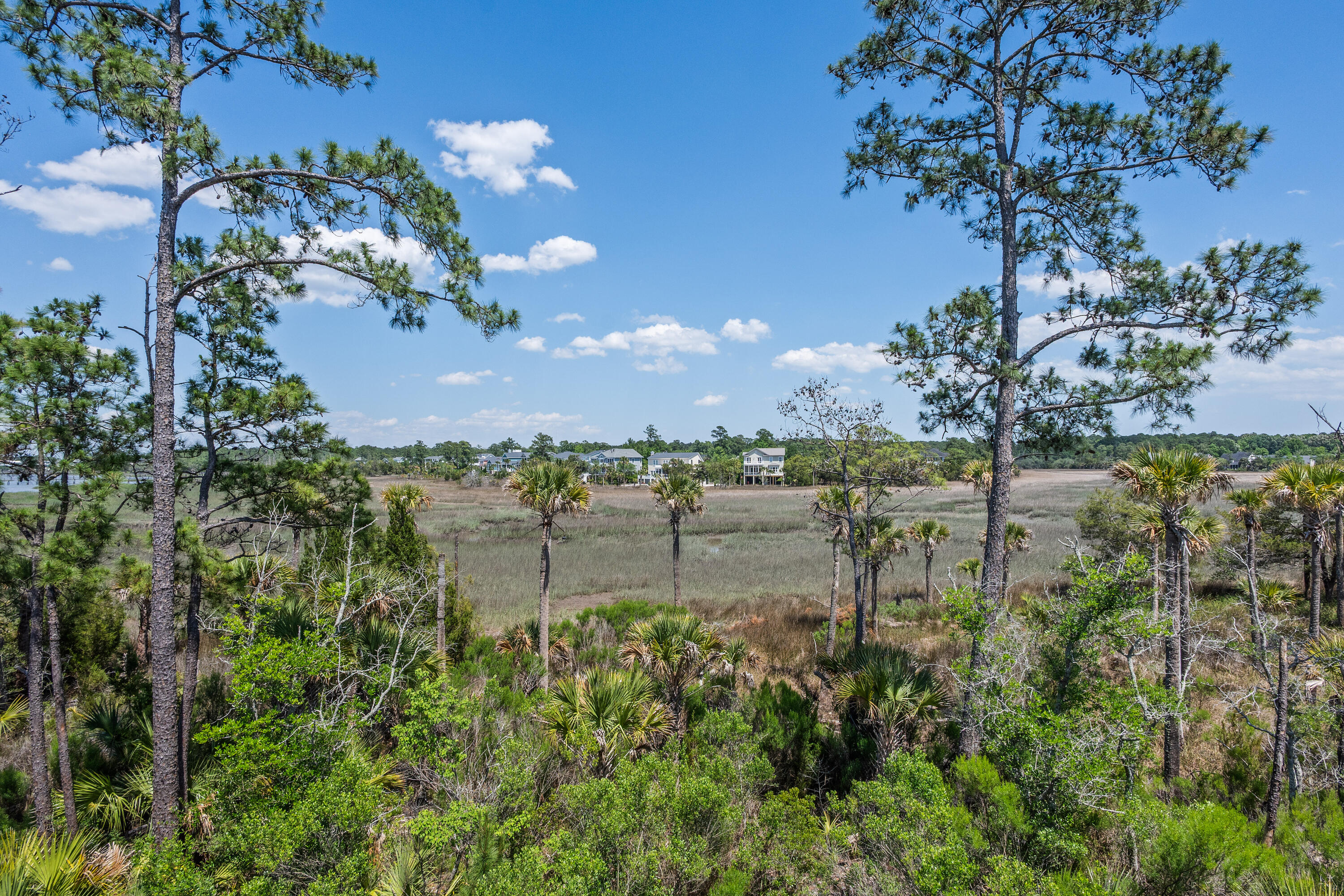 2316 Bucktail Court