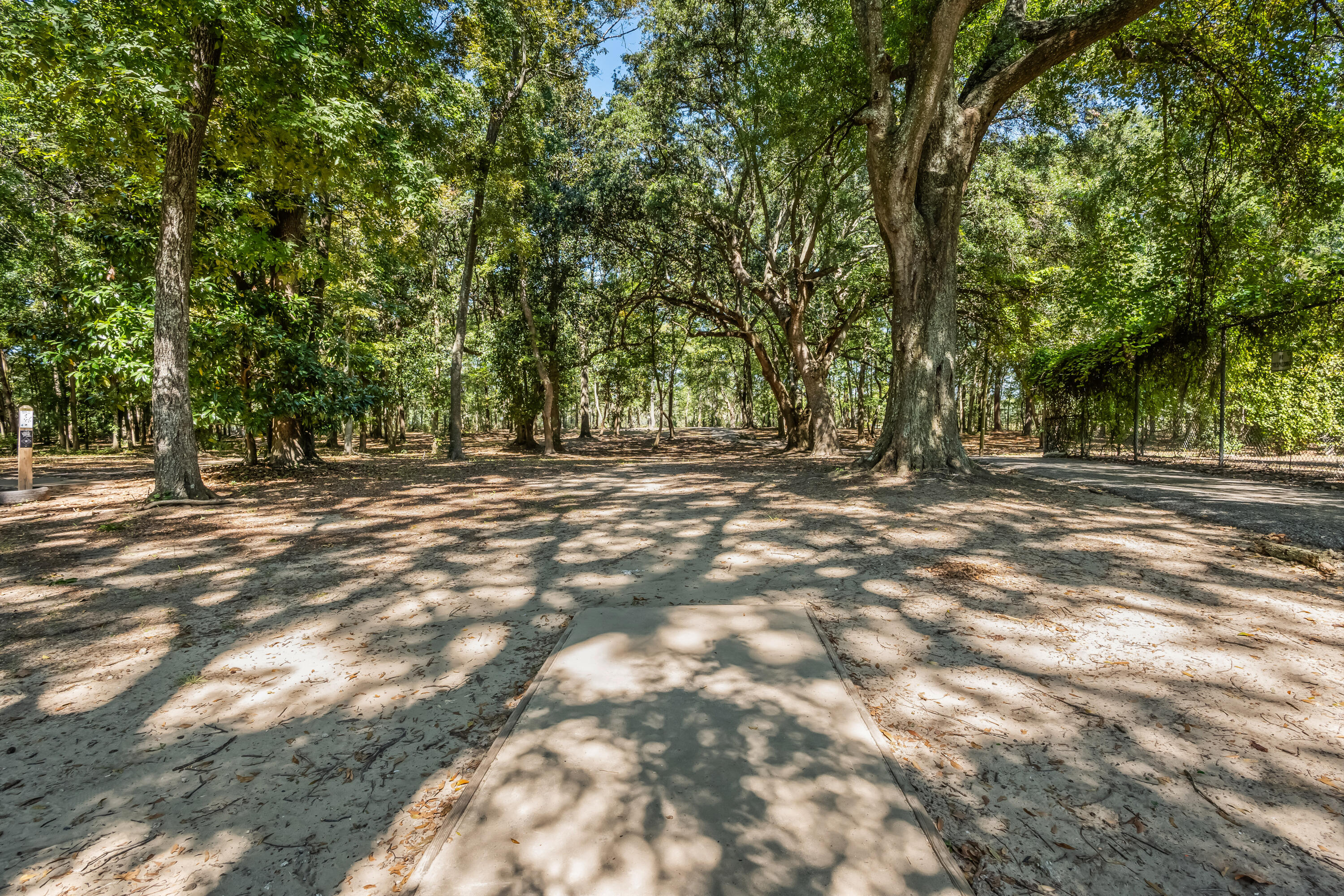Wooded sandy area with a concrete tee pad beneath large shade trees.