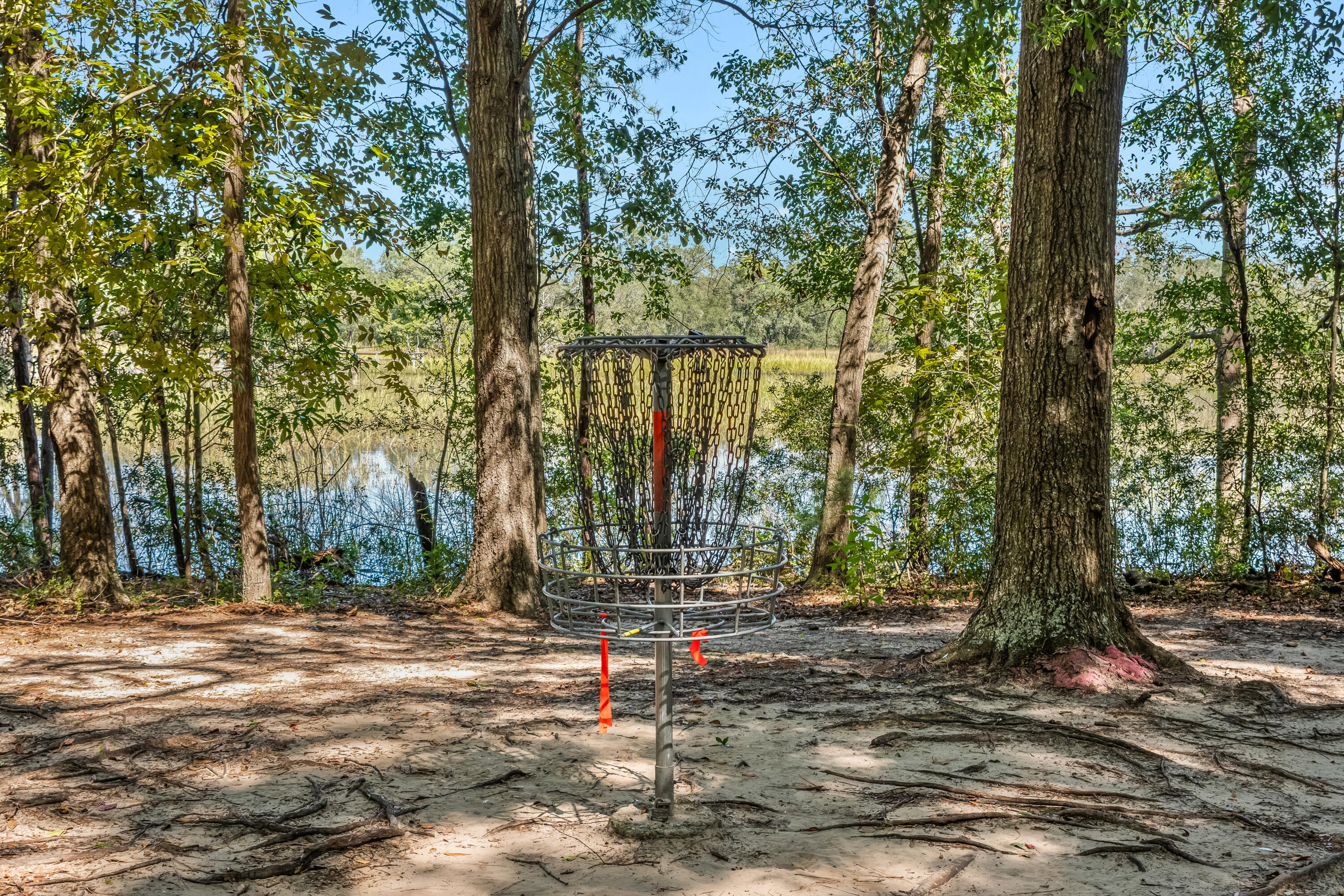 Disc golf basket beneath mature trees beside a pond.