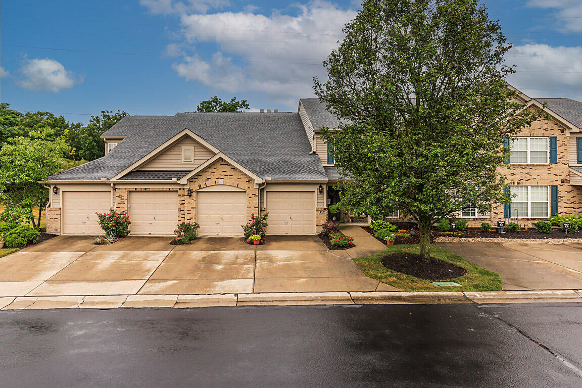 1500 Trelis Court, 102