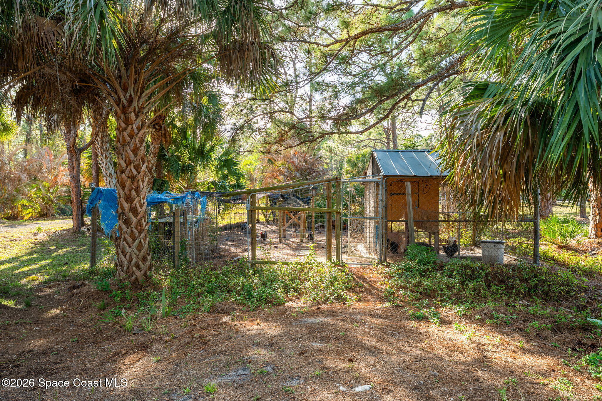 6895 Cottonwood Drive