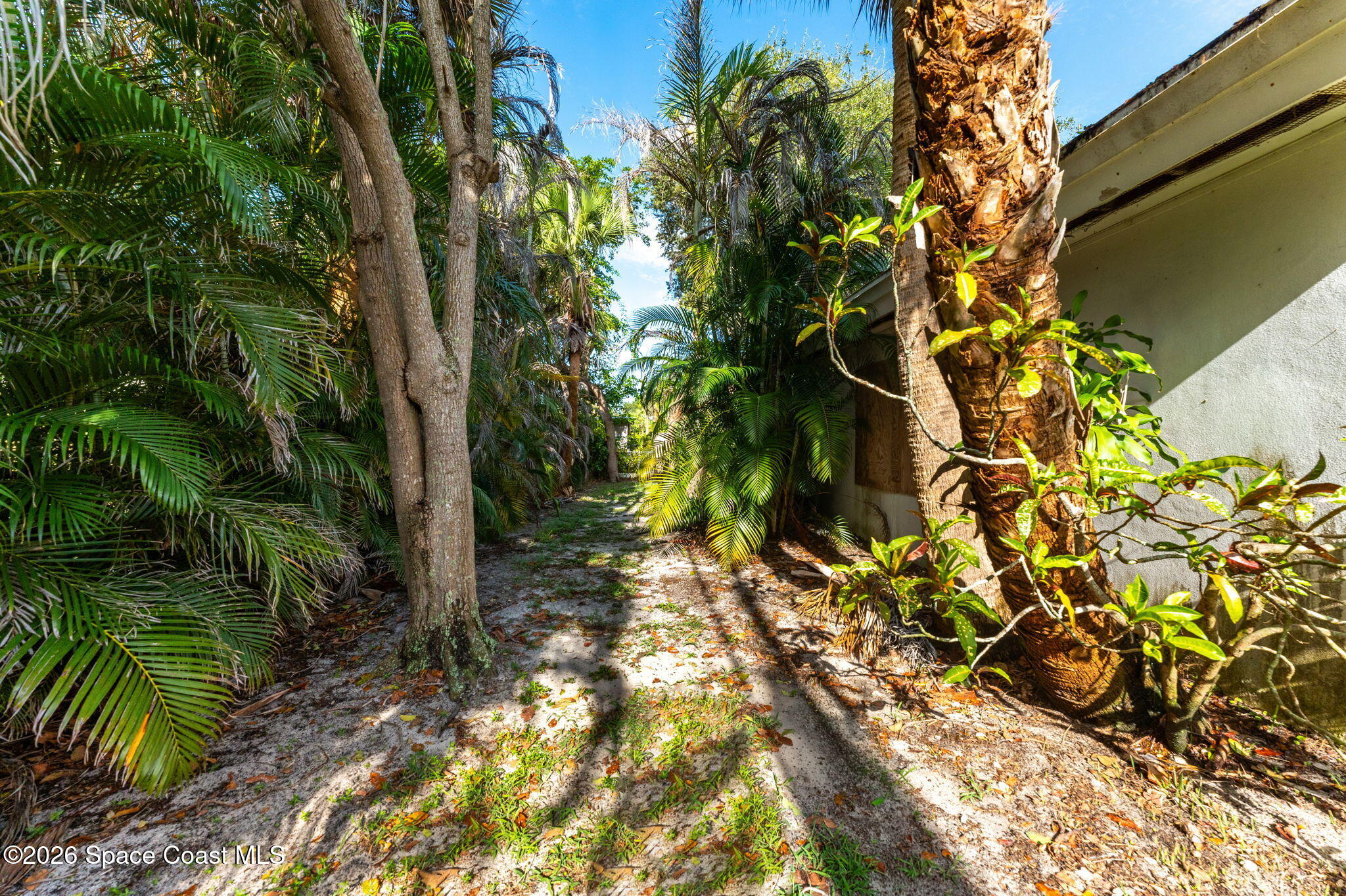 317 Cocoa Avenue