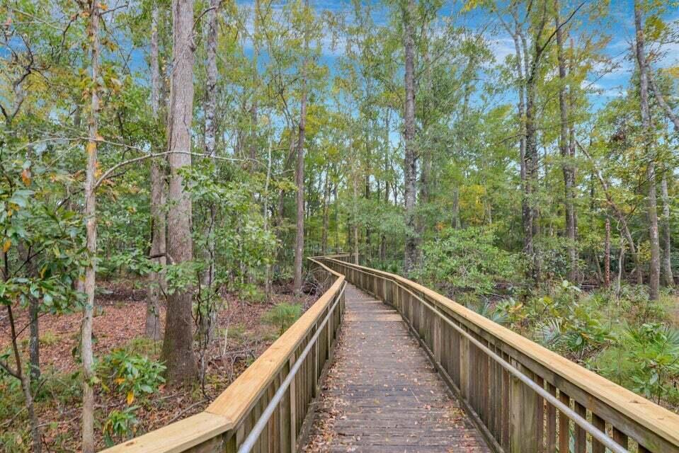417 Blue Jasmine Lane