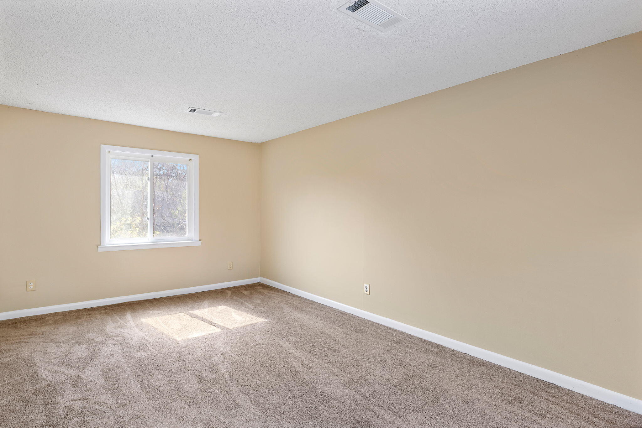 404 Ventura Place