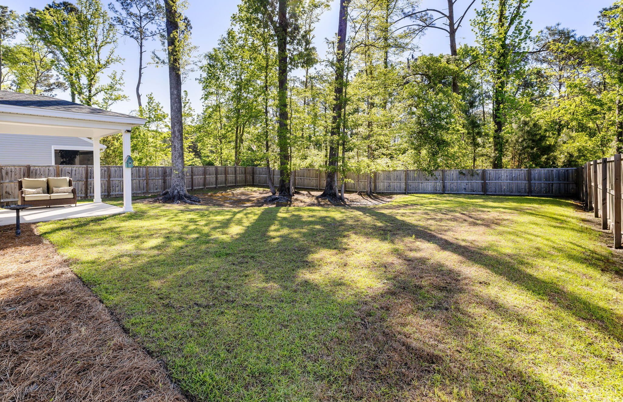 1411 Thin Pine Drive