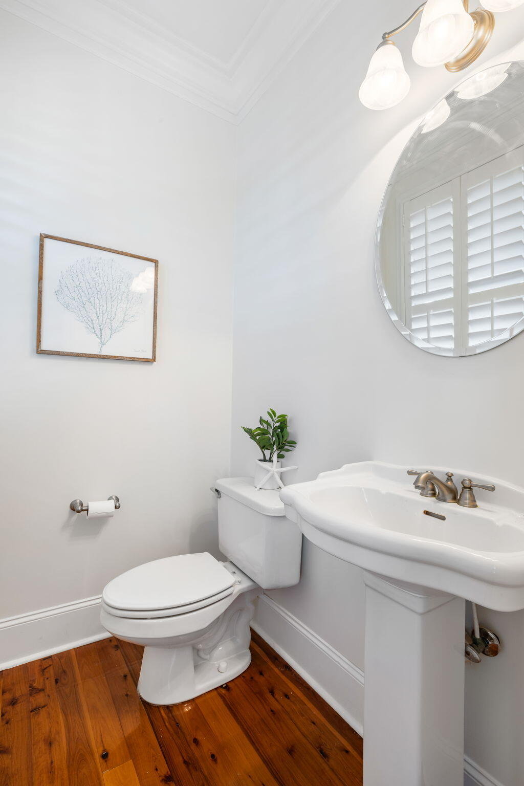 7 Seahorse Court, Isle of Palms