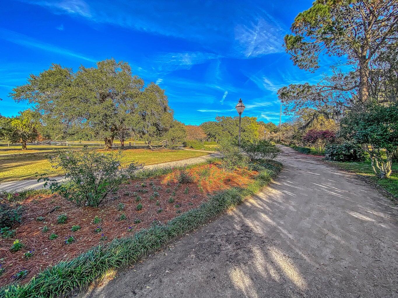 3 Strawberry Lane