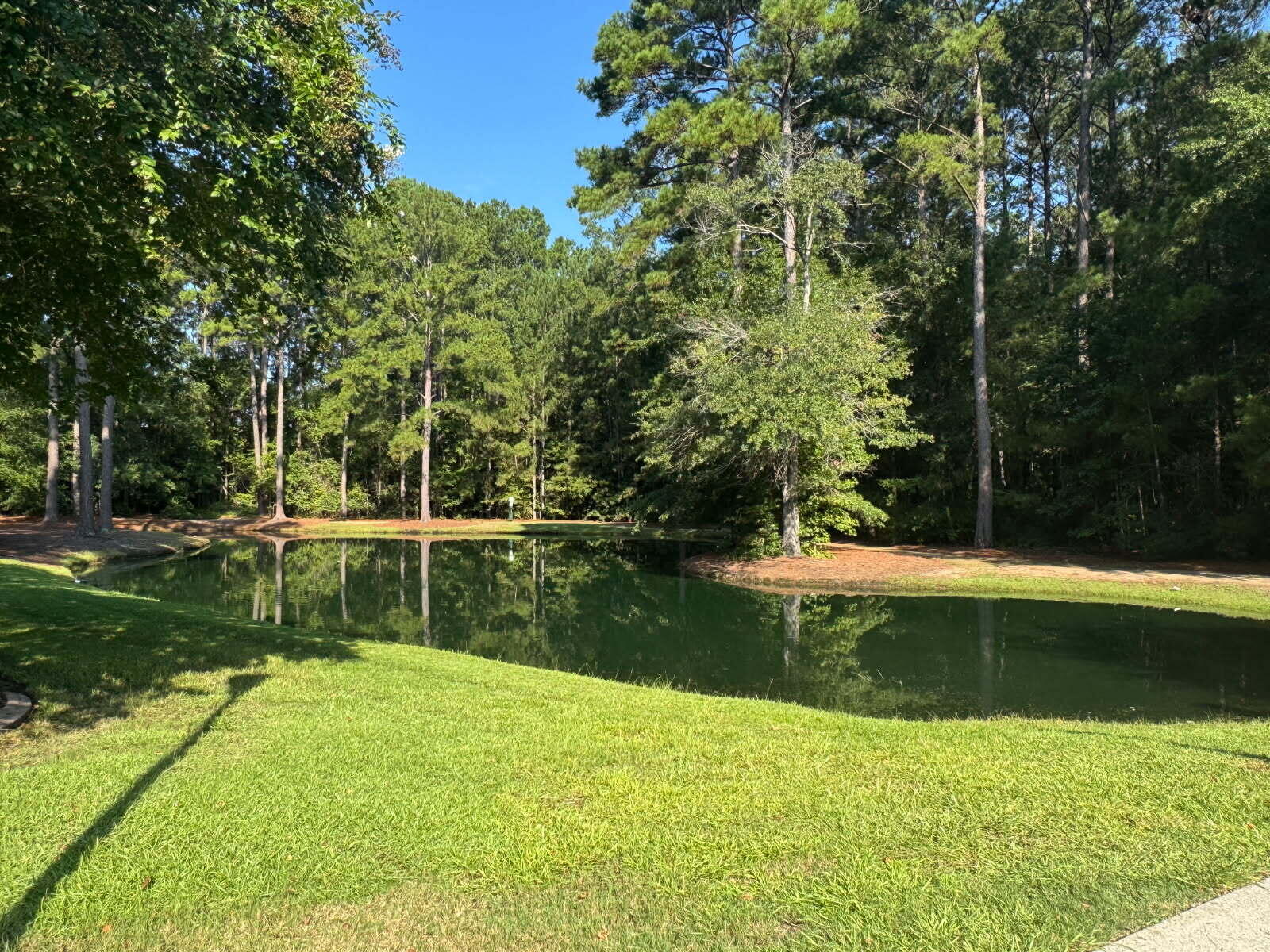 4837 Shady Tree Lane