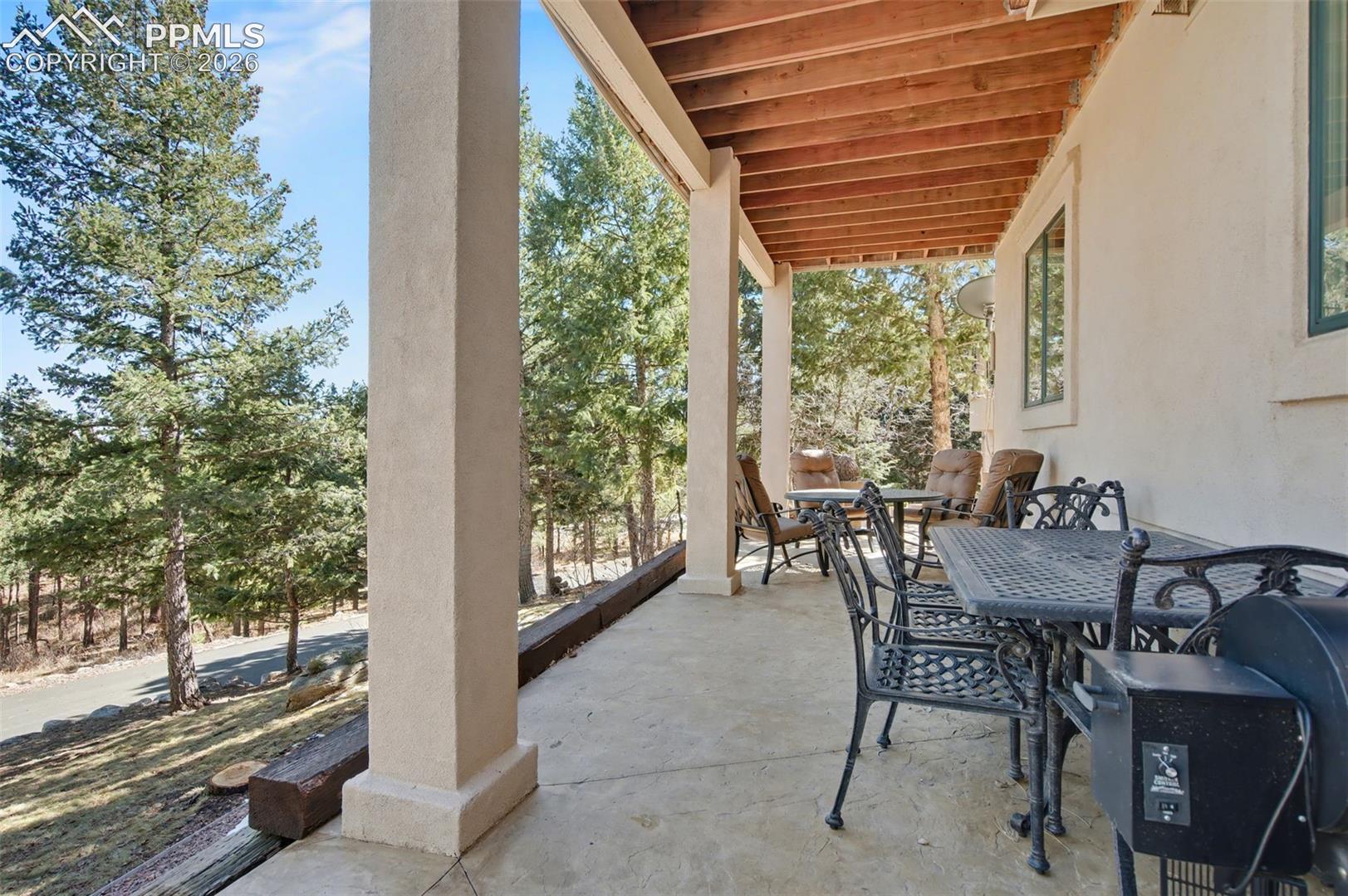 870 Mont Blanc View