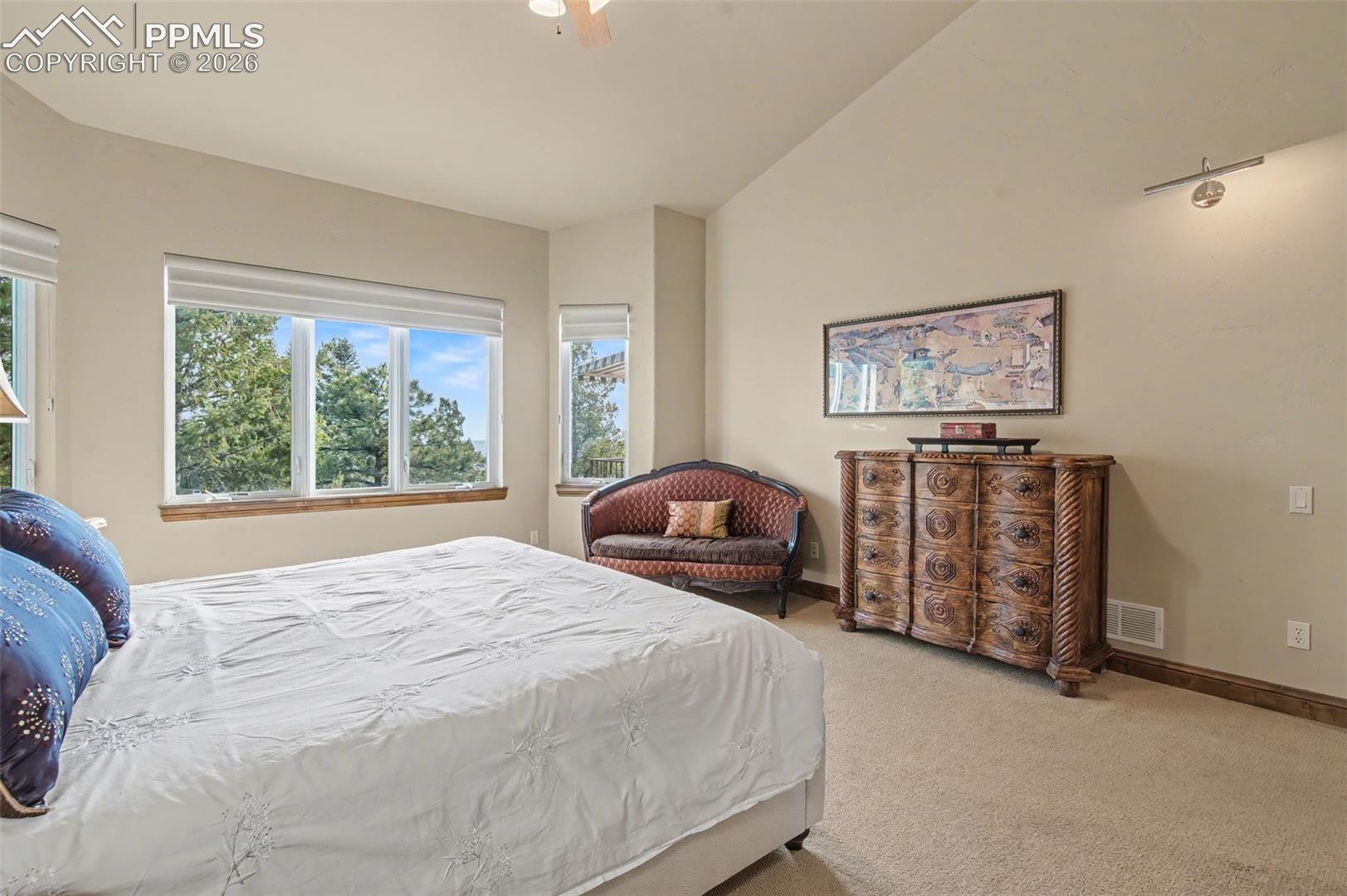 870 Mont Blanc View