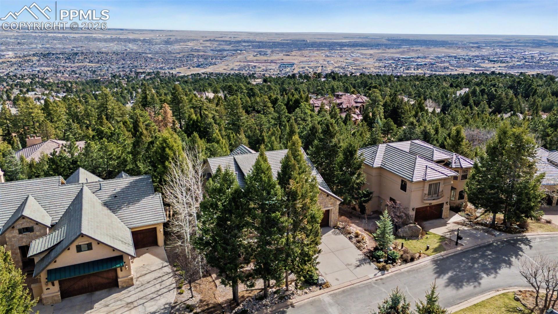 870 Mont Blanc View