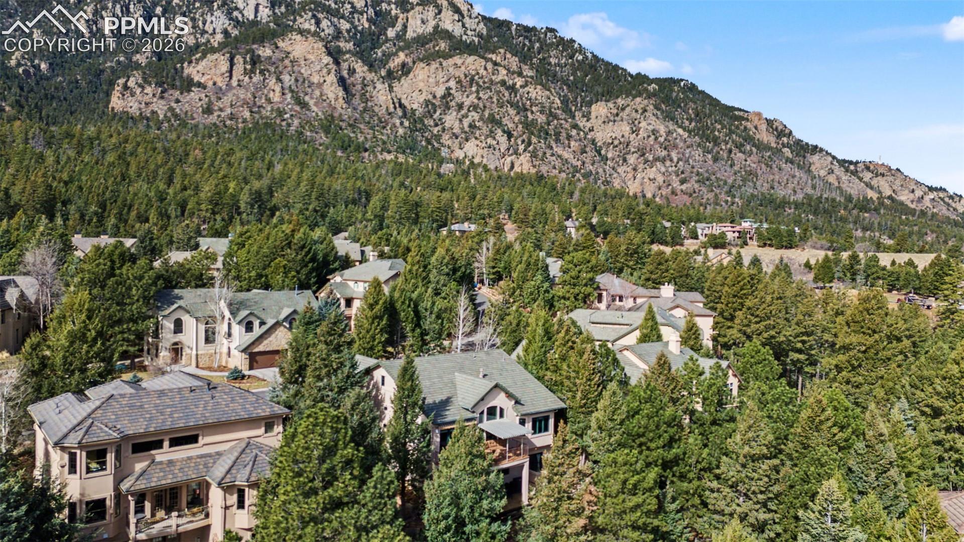 870 Mont Blanc View