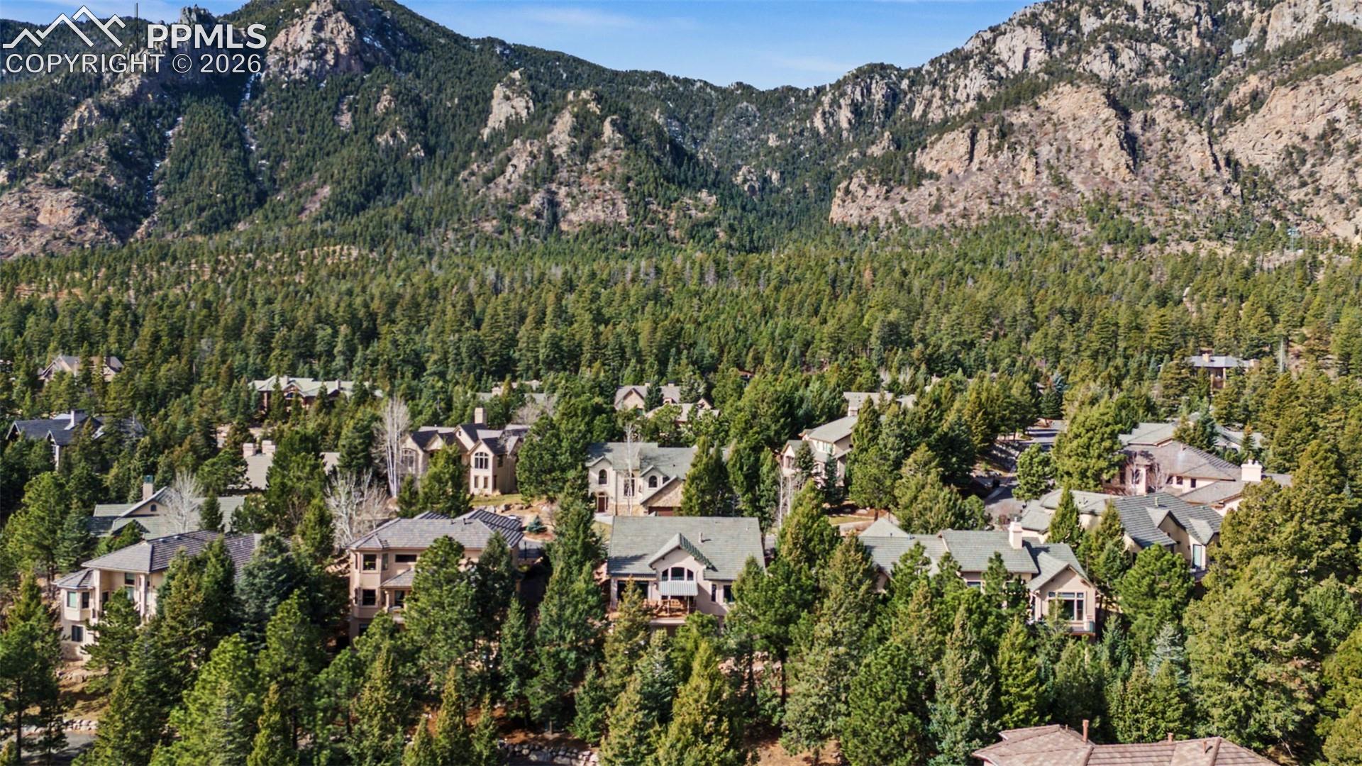 870 Mont Blanc View