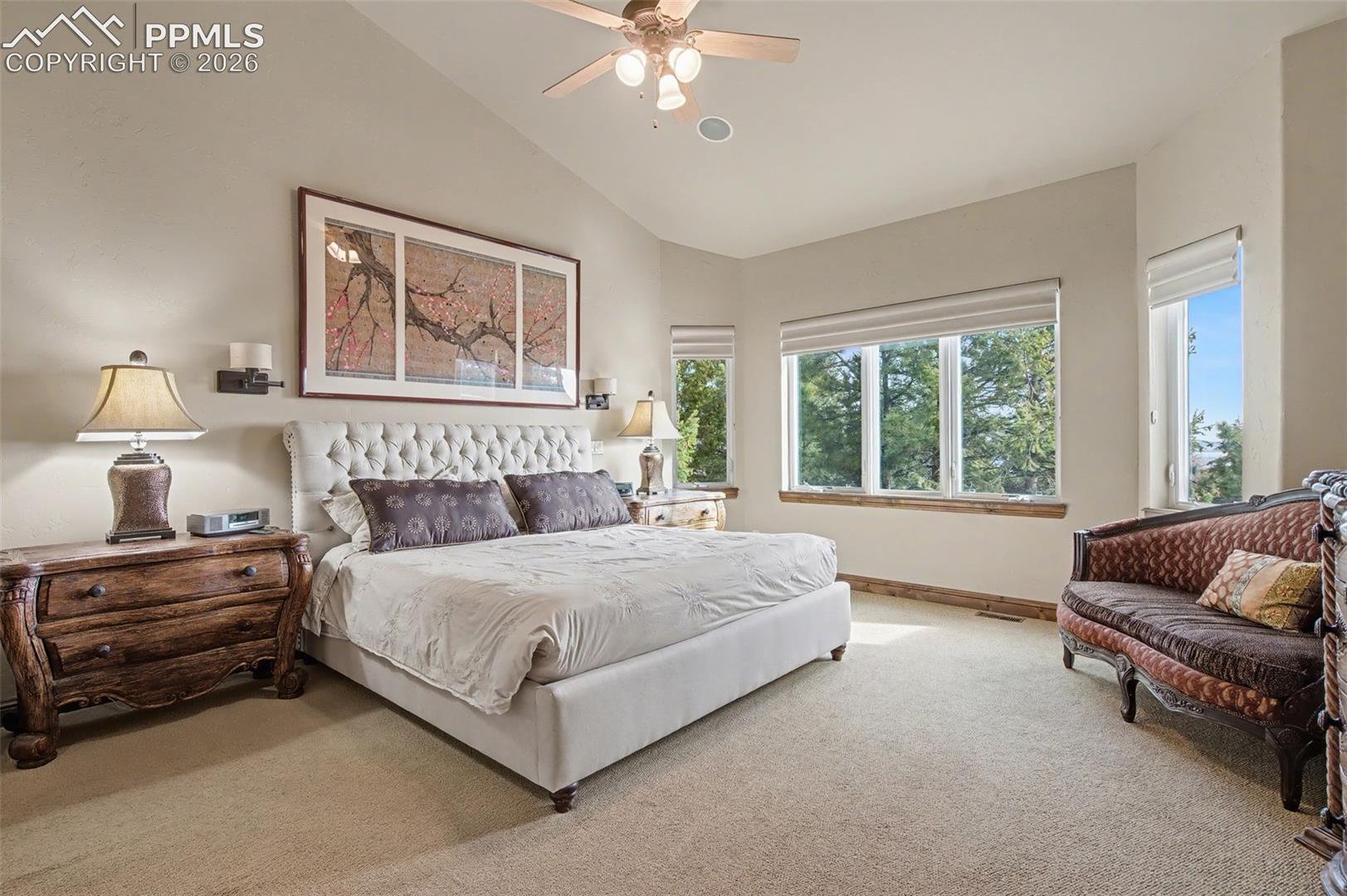 870 Mont Blanc View
