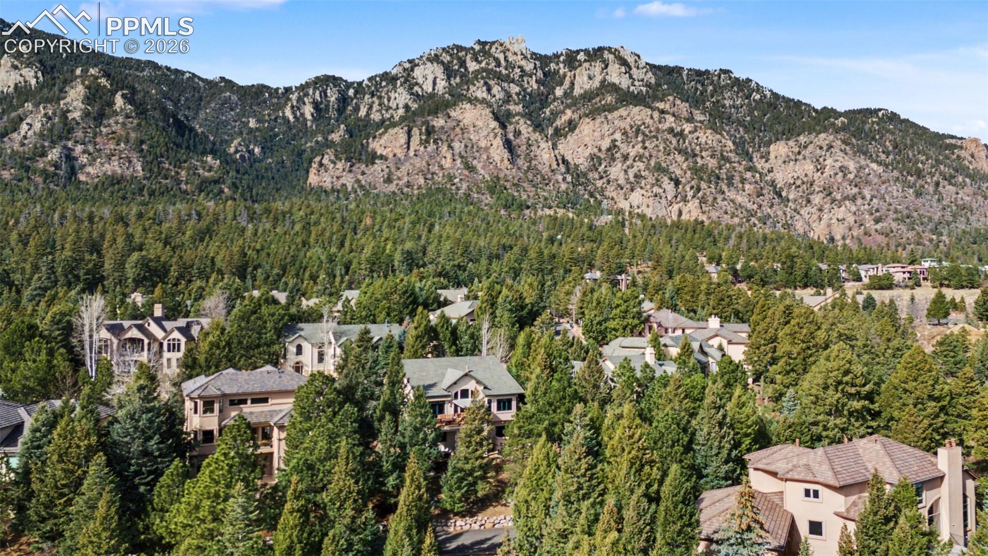 870 Mont Blanc View