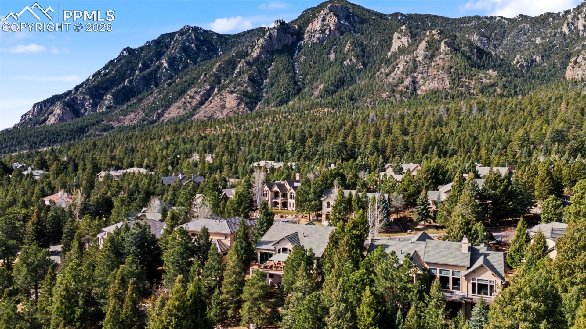 870 Mont Blanc View