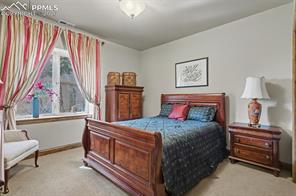 870 Mont Blanc View
