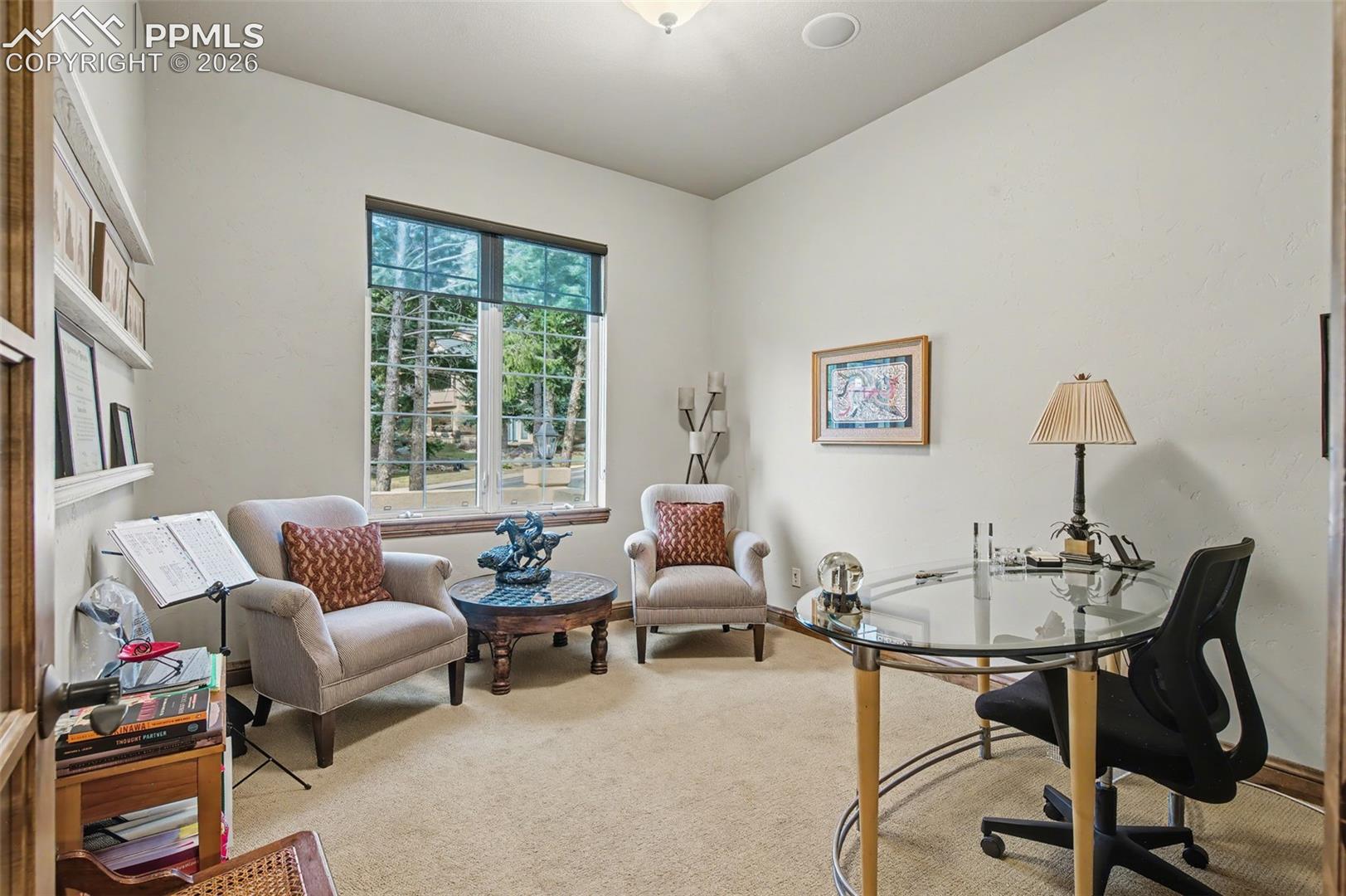 870 Mont Blanc View