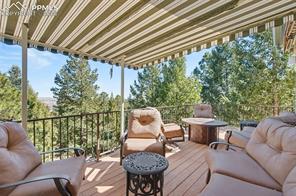 870 Mont Blanc View