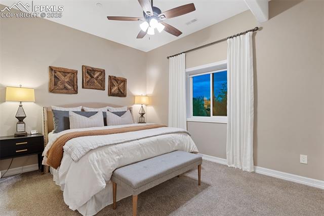 5374 Old Star Ranch View