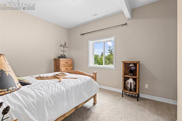 5374 Old Star Ranch View