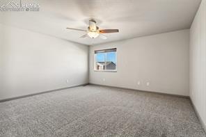 7393 Alpine Daisy Drive