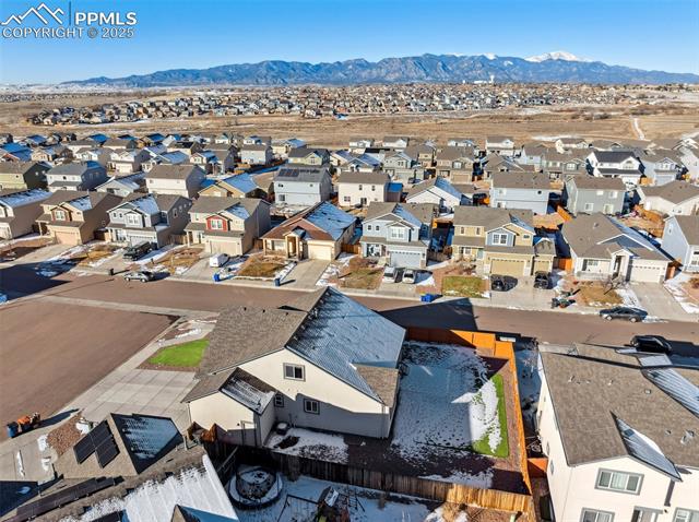 7393 Alpine Daisy Drive