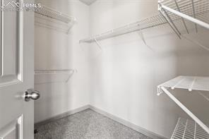 7393 Alpine Daisy Drive