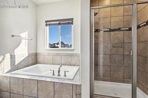 7393 Alpine Daisy Drive