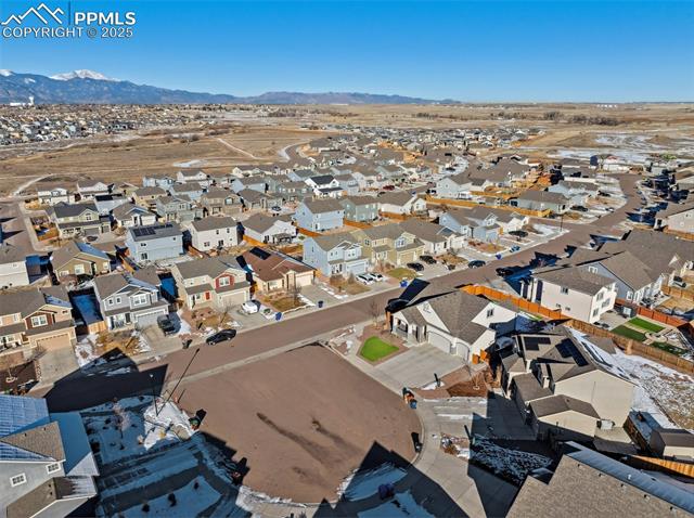 7393 Alpine Daisy Drive