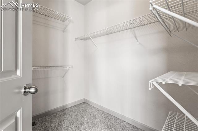 7393 Alpine Daisy Drive