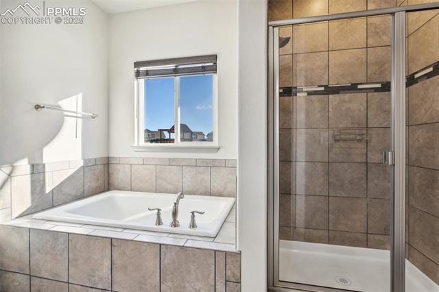 7393 Alpine Daisy Drive