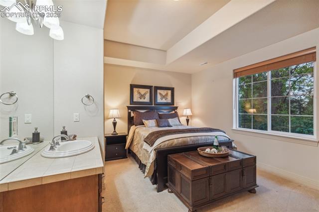 856 Mont Blanc View